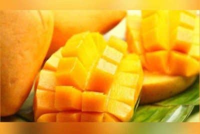 Seorang guru bukan sahaja kempunan merasa keenakan mangga harumanis, malah berputih mata selepas wang simpanan sebanyak RM9,998.52 lesap ditipu sindiket pembelian dalam talian yang tidak wujud. Gambar hiasan