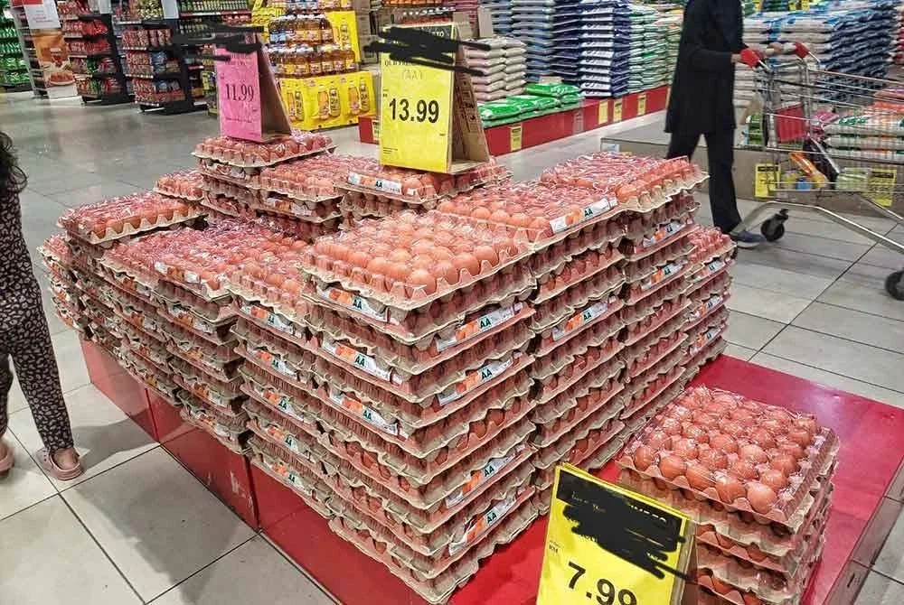 Tinjauan mendapati harga masih stabil dan kenaikan harga telur dijangka selepas bekalan baharu diterima.