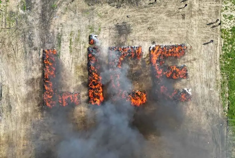 Pihak berkuasa didakwa menyusun bungkusan ganja membentuk perkataan “Lice” sebelum membakarnya, tindakan yang dikritik hebat oleh aktivis antidadah sebagai tidak sensitif dan tidak profesional. Foto Agensi