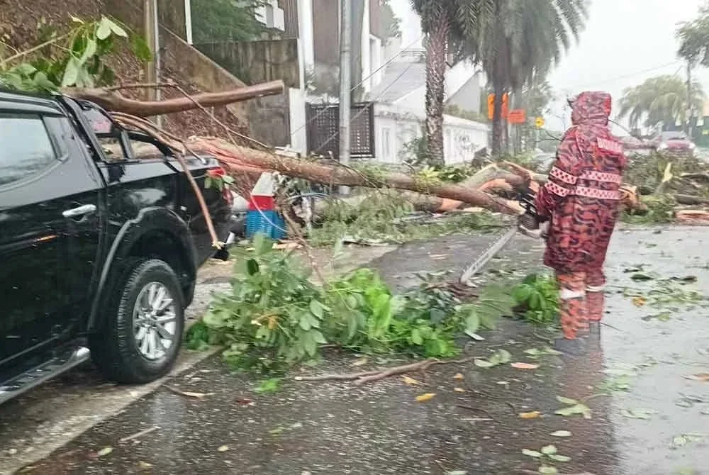 Sebuah Perodua Myvi dan Mitsubishi Triton rosak dihempap pokok tumbang di Jalan Penaga, Bangsar pada Khamis.