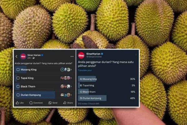 Terdapat pelbagai jenis durian di pasaran bagi memenuhi citarasa penggemar raja buah itu. Gambar kecil: Kaji selidik di platform media sosial Sinar Harian mengenai jenis durian yang menjadi pilihan rakyat Malaysia.
