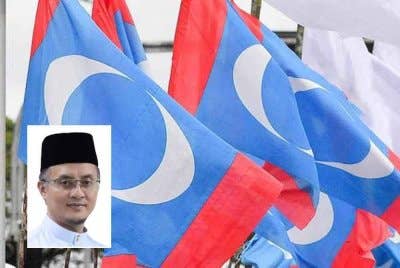 Kempen pemilihan PKR peringkat Pusat bagi penggal 2025-2028 tidak seharusnya menjadi medan perpecahan dalam kalangan anggota. Gambar kecil: Mohamad