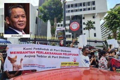 Demonstrasi bantahan pelupusan anjing liar diadakan di Pejabat Menteri Besar baru-baru ini. Foto tular