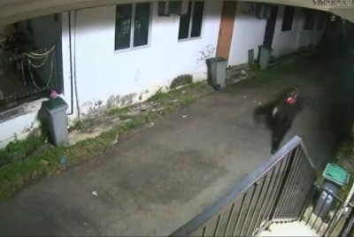Tangkap layar video tular memaparkan kejadian pecah rumah yang berlaku di Taman Perling.