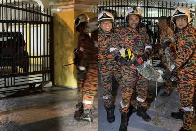 Pasukan bomba berjaya menangkap anak buaya di Taman Seri Perdana, Lahad Datu.