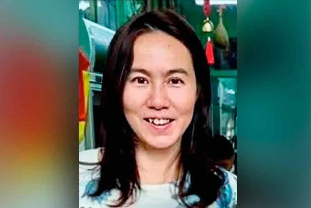 Pamela Ling dilaporkan hilang ketika dalam perjalanan ke Ibu Pejabat SPRM di Putrajaya dengan menaiki kereta perkhidmatan e-panggilan.