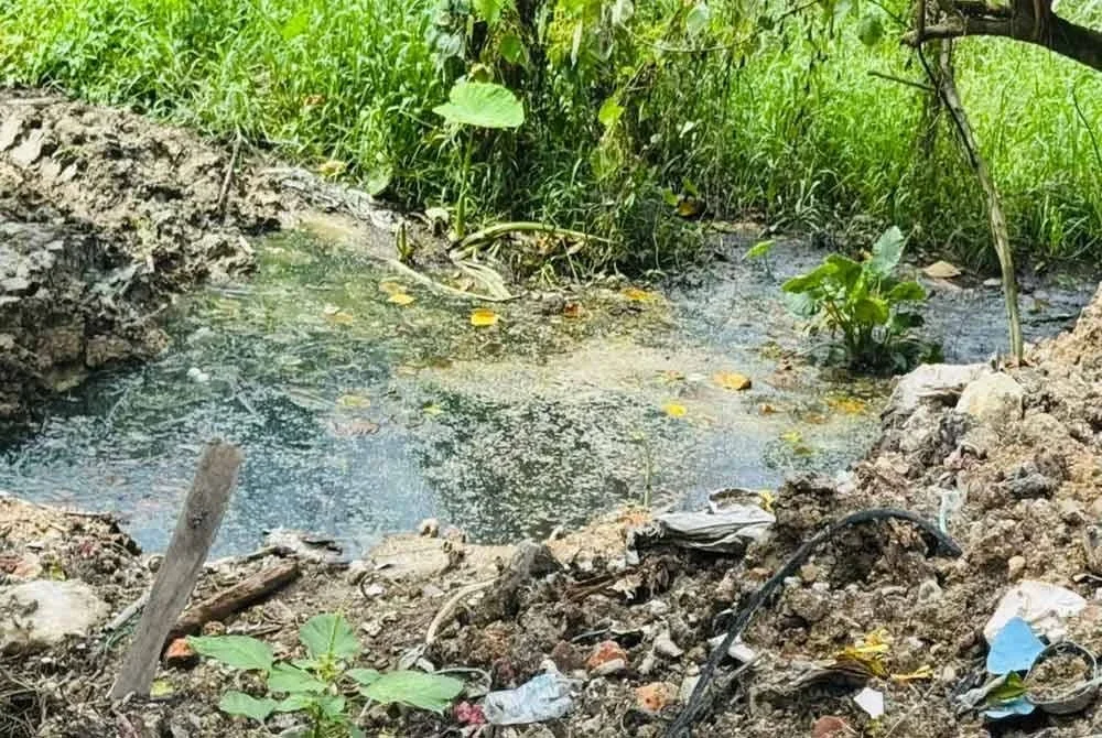 Sisa najis lembu yang tidak diuruskan sebaiknya menyebabkan pencemaran bau dan mengundang kehadiran lalat di kawasan penempatan penduduk.