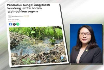 Laporan Sinar Harian pada Ahad lalu yang melaporkan penduduk Kampung Sungai Long, Hulu Langat menggesa kerajaan negeri segera menyelesaikan masalah pencemaran yang didakwa berlaku akibat operasi penternakan lembu di kawasan tanah rizab kerajaan sejak 2018. Gambar kecil: Jamaliah