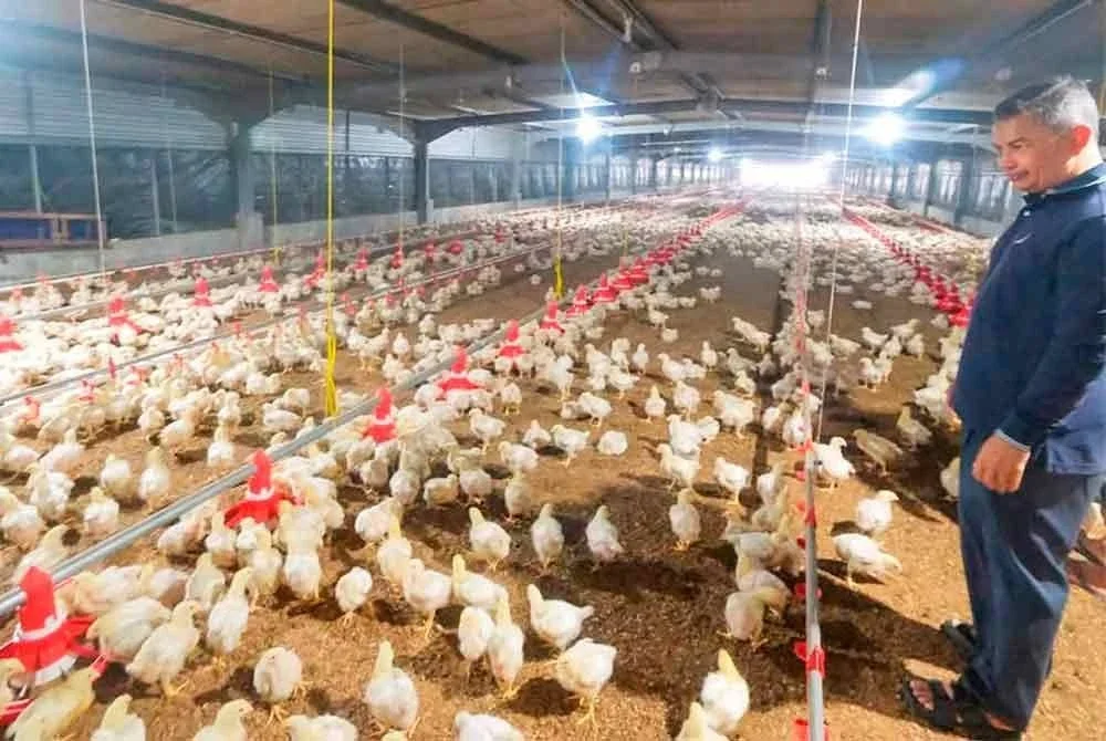 Azman menunjukkan keadaan dalam kompleks ternakan ayam di Baruh Masin, Hulu Besut yang sebelum ini terbiar berjaya dibaik pulih dan dinaik taraf dengan kos melebihi RM700,000. - Foto: Facebook Dr Azman Ibrahin