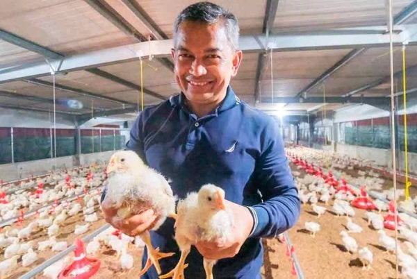 Azman menunjukkan antara anak ayam yang diternak di Kompleks Reban Ayam Tertutup Baruh Masin di Hulu Besut, Besut. Foto: Facebook Azman Ibrahim.