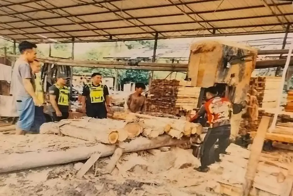 Antara kilang papan yang diperiksa pada Op Sawmill siri tiga yang dijalankan baru-baru ini.