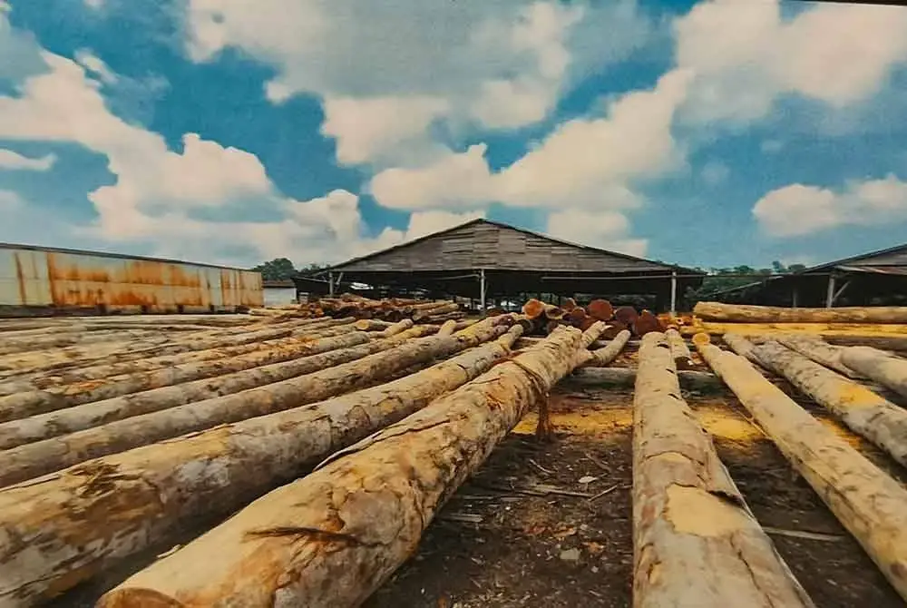 Antara kayu balak yang diperiksa pada Op Sawmill siri tiga yang dijalankan di sekitar Pahang baru-baru ini.