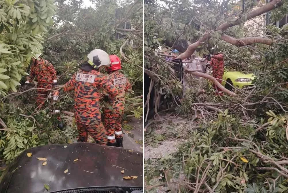 Anggota bomba menebang dan mengalihkan pokok tumbang di Taman Puchong Perdana di sini, pada Selasa.