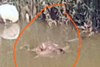 Mayat kanak-kanak yang ditemui dalam sungai tular di media sosial.