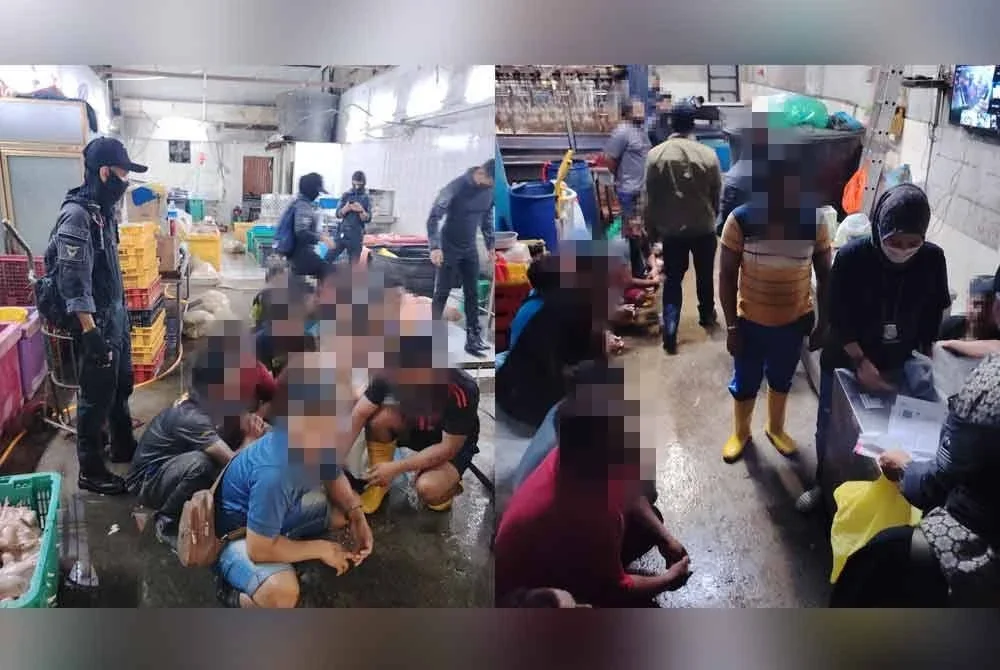 Antara warga asing yang ditahan dalam pemeriksaan di pusat penyembelihan di Pasar Borong Selayang, pada Khamis.