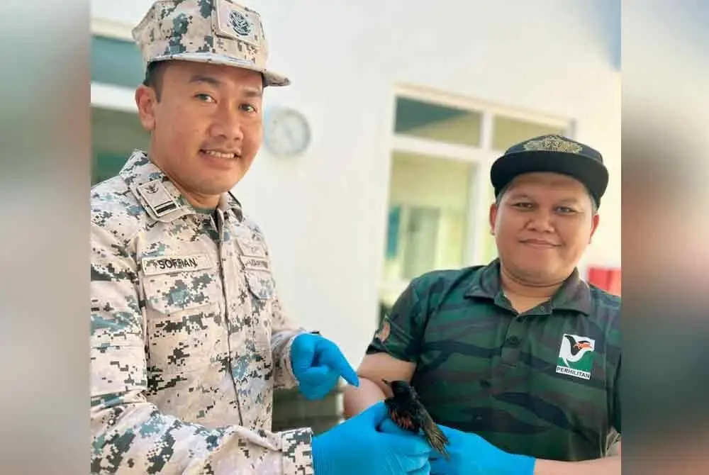 Burung eksotik yang cuba diseludup ke negara jiran berjaya digagalkan Maritim Malaysia di perairan Tanjung Labuh Batu Pahat, awal pagi Jumaat. - Foto Maritim Malaysia