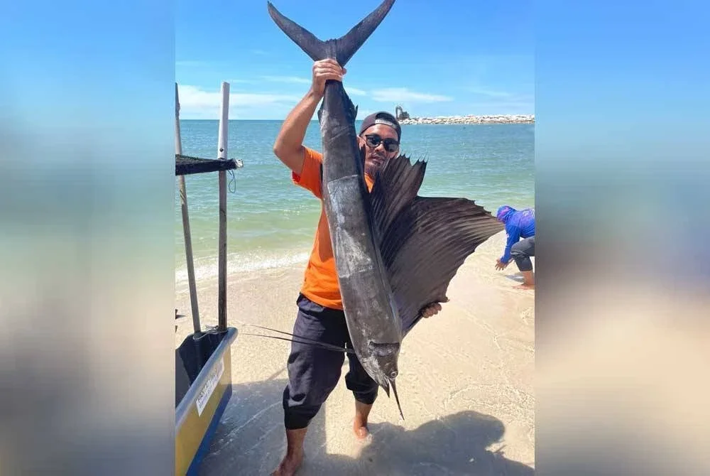 Mohd Zainuri bersama ikan layaran yang berjaya ditangkap ketika turun ke laut minggu lalu.