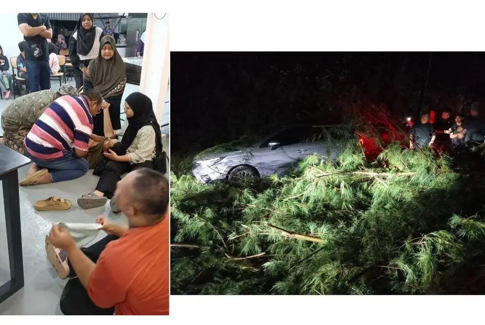 Seorang remaja lelaki cedera manakala lebih 500 pengunjung di sebuah pusat peranginan di Pantai Kemasin di sini bertempiaran lari menyelamatkan diri selepas lebih 15 batang pokok ru tumbang dalam kejadian ribut pada Selasa.