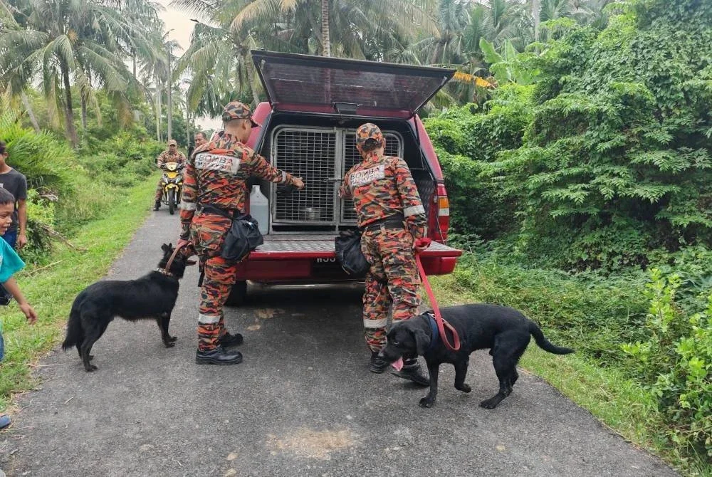 Dua anjing K9 JBPM yang digunakan bagi mengesan remaja hilang. Gambar kecil: Dzulkhairi