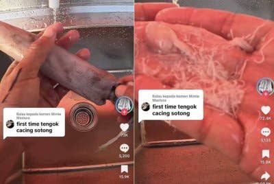 Seorang peniaga menunjukkan ribuan cacing dalam sotong yang dibersihkan.