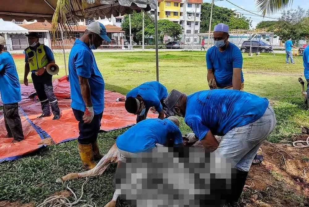 Hassan (kanan) ketika aktiviti korban yang dianjurkan Masjid Pengkalan Batu pada Hari Raya Aidiladha lalu.