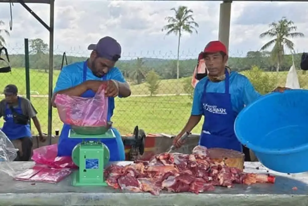 Sukarelawan membuat agihan daging korban di Ladang Alaf, Jalan Kulai - Kota Tinggi.
