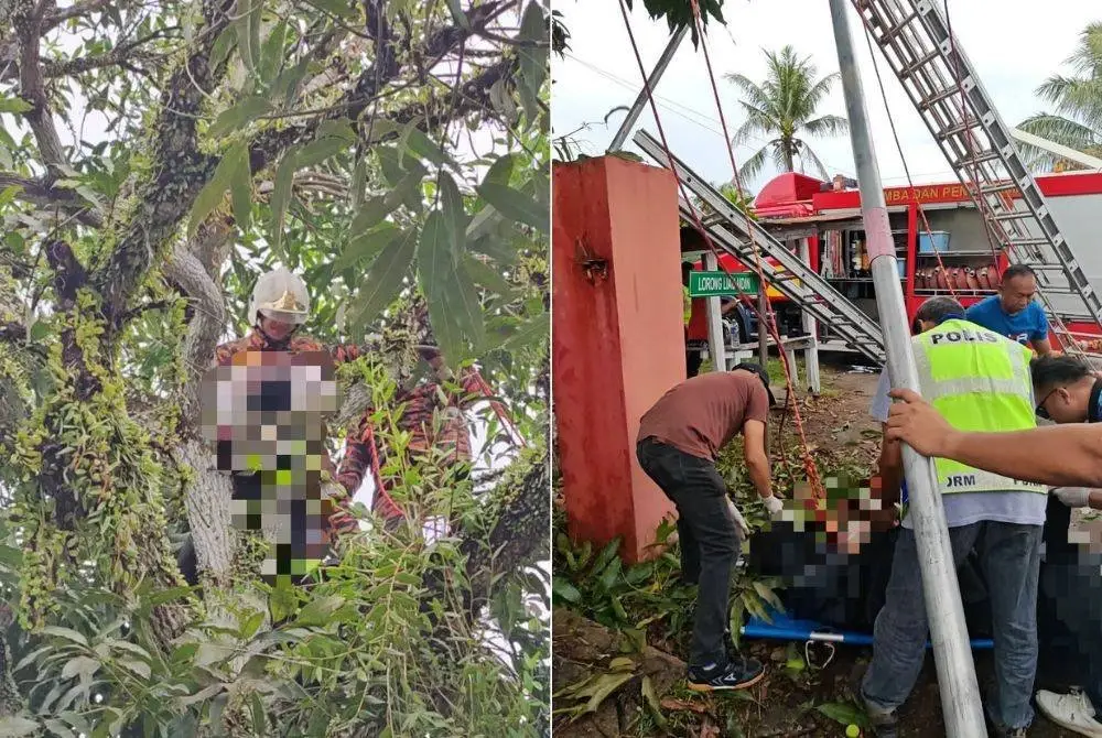 Seorang lelaki maut selepas terkena renjatan elektrik ketika mengambil buah mangga menggunakan besi berhampiran kabel elektrik di Kampung Bambangan, Papar.