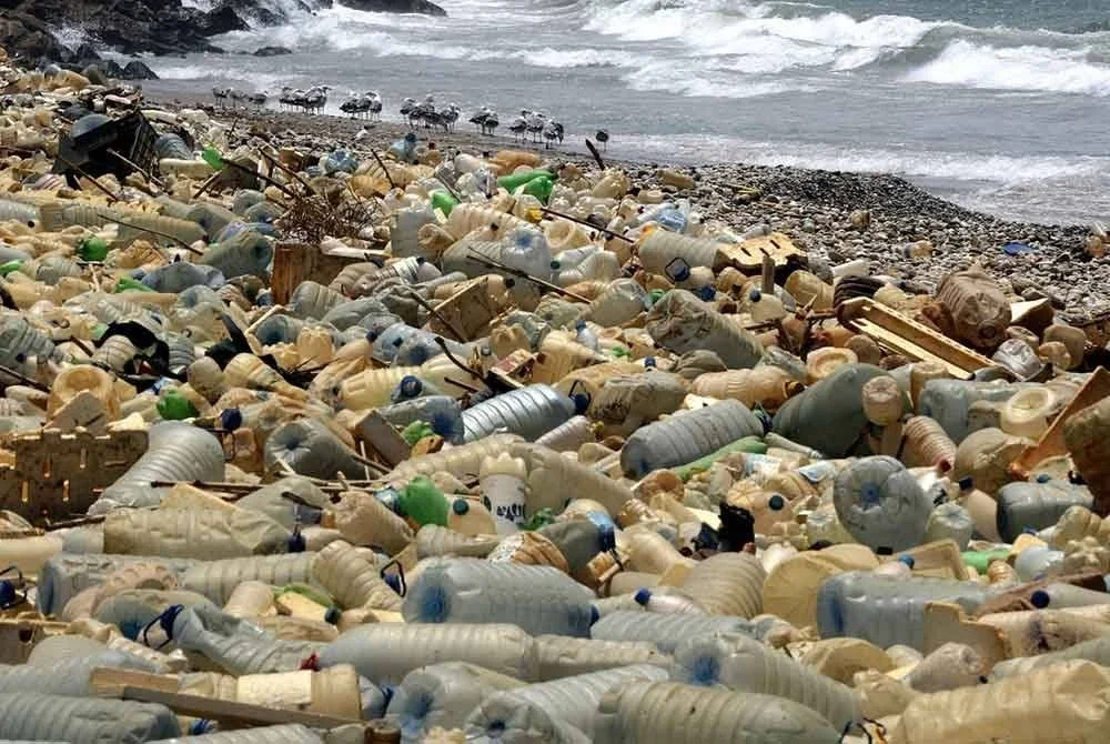 Burung camar mencari makanan berhampiran kawasan pelepasan kumbahan yang dipenuhi botol plastik dan sisa lain di pesisir Ouzai, selatan Beirut.