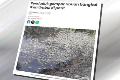 Laporan Sinar Harian mengenai Penduduk Kampung Sungai Tiang Baroh dan Kampung Sungai Payung yang gempar apabila ribuan bangkai ikan timbul dalam parit berhampiran dua kampung itu.