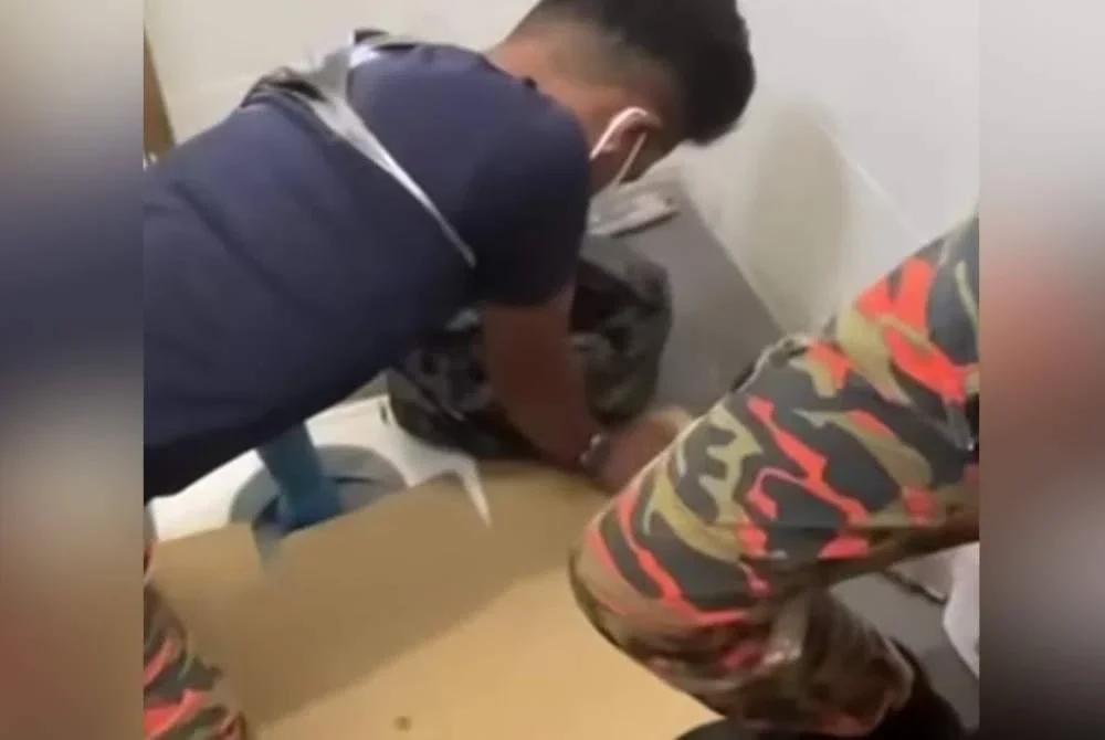 Janin bayi cukup sifat ditemui di dalam mangkuk tandas sebuah stesen minyak di Jalan Pontian-Benut. Foto tular