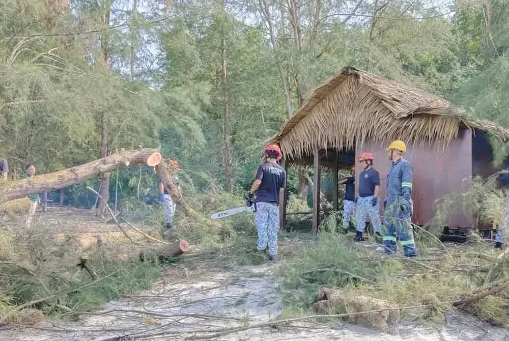 Kejadian itu menyebabkan salah satu daripada pokok itu tumbang menghempap bumbung sebuah inap desa.