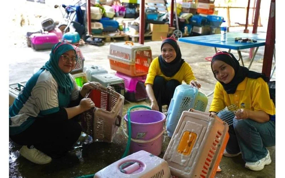 Pelajar UniMAP membersihkan sangkar dan kawasan Bustana Kucing Perlis.