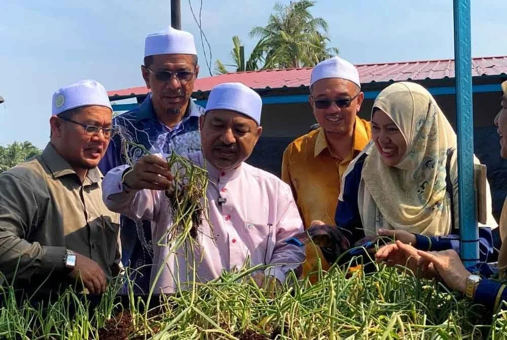 Mohd Nassuruddin (tengah) dan Tuan Mohd Saripudin (kiri) melihat tanaman bawang yang diusahakan pada Projek Tanaman Bawang Peringkat Negeri Kelantan 2025 di TKPM Telong, Bachok pada Khamis.