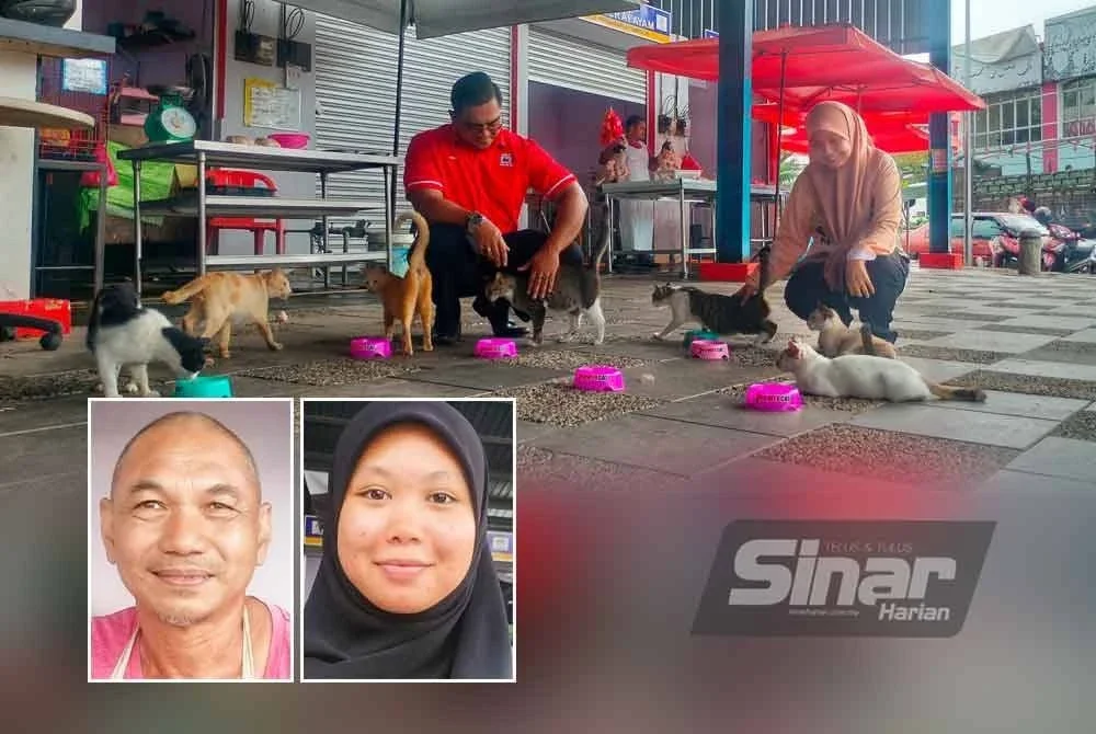 Suhaya (kanan) bersama Fazli dengan kucing-kucing yang terdapat di Pasar Awam Temerloh. - FOTO: SINAR HARIAN, gambar kecil dari kiri: Zainudin, Maisarah