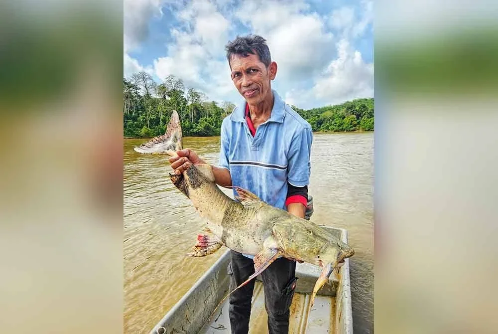 Hairul bersama hasil tangkapan,ikan kenerak