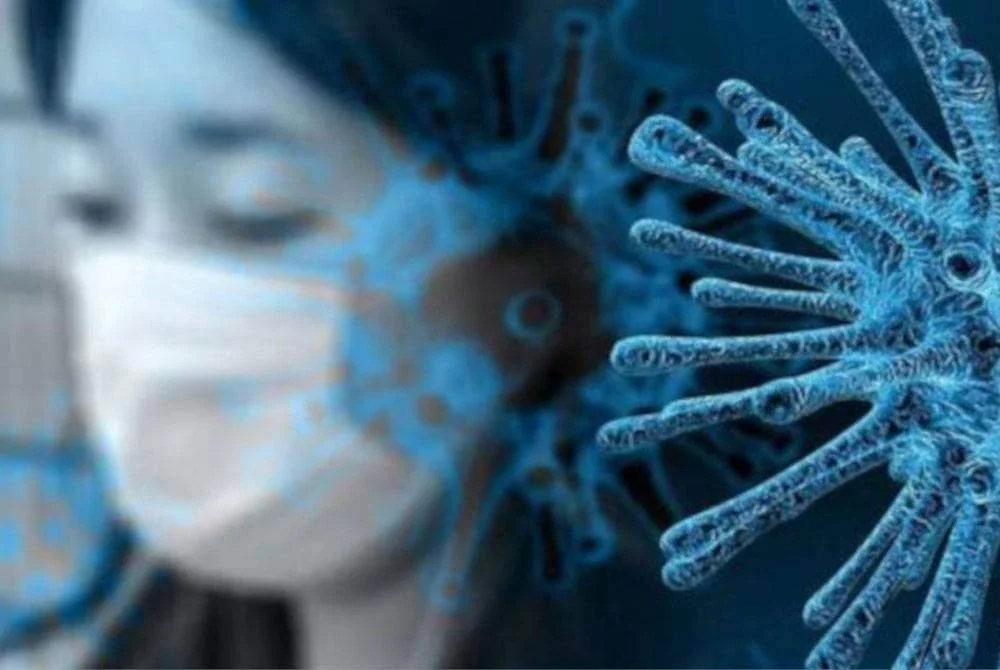 WHO memaklumkan bahawa siasatan terhadap asal usul virus Covid-19 masih diteruskan dan belum mencapai kesimpulan muktamad.