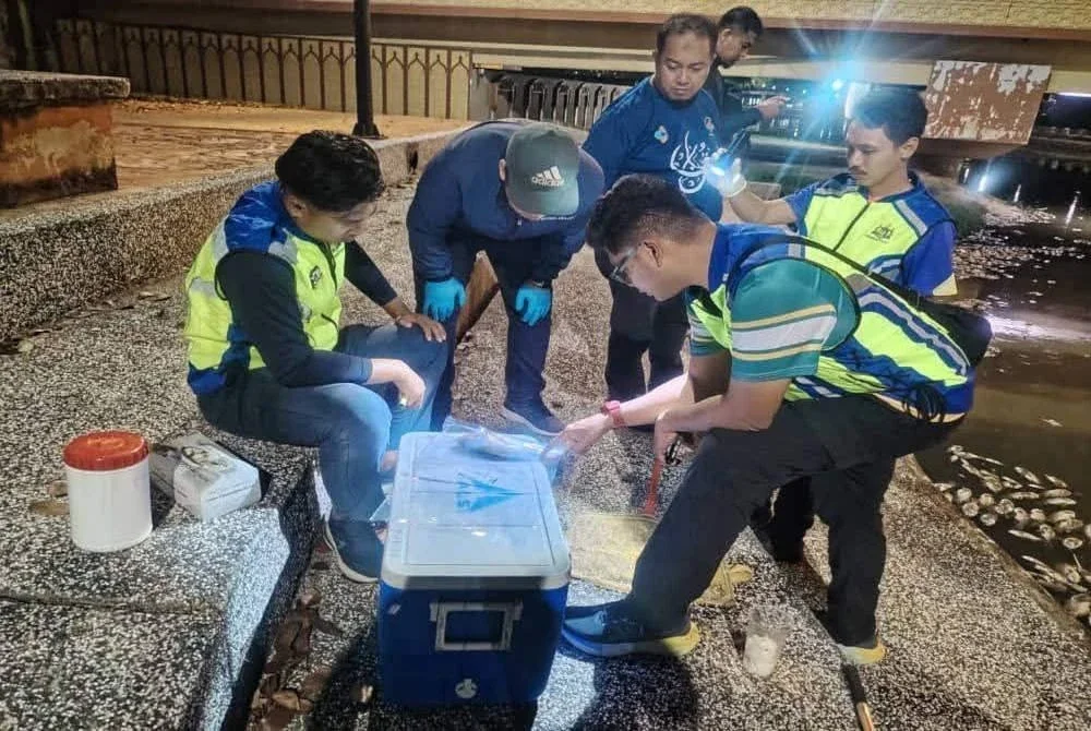 BKSA sedang menyiasat insiden ikan mati di Sungai Melaka sejak Khamis lalu.