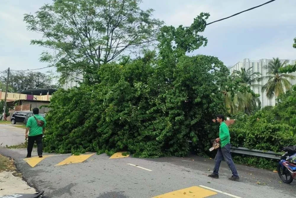 Selain bumbung, kejadian pokok tumbang juga dilaporkan berlaku di beberapa kawasan.