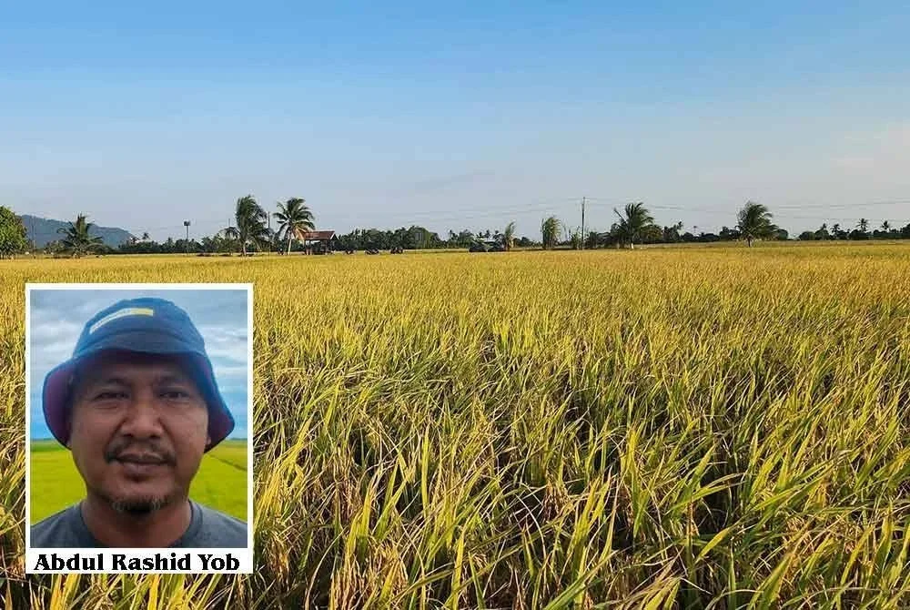 PeSAWAH membantah keras cadangan kerajaan untuk meminda Akta Perlindungan Varieti Baru Tumbuhan 2004 yang dijangka dibentangkan di Parlimen hujung Julai ini. 