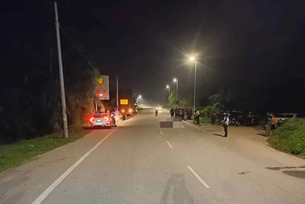 Siasatan awal mendapati kerbau tersebut memasuki laluan berkenaan secara mengejut sebelum berlaku perlanggaran.