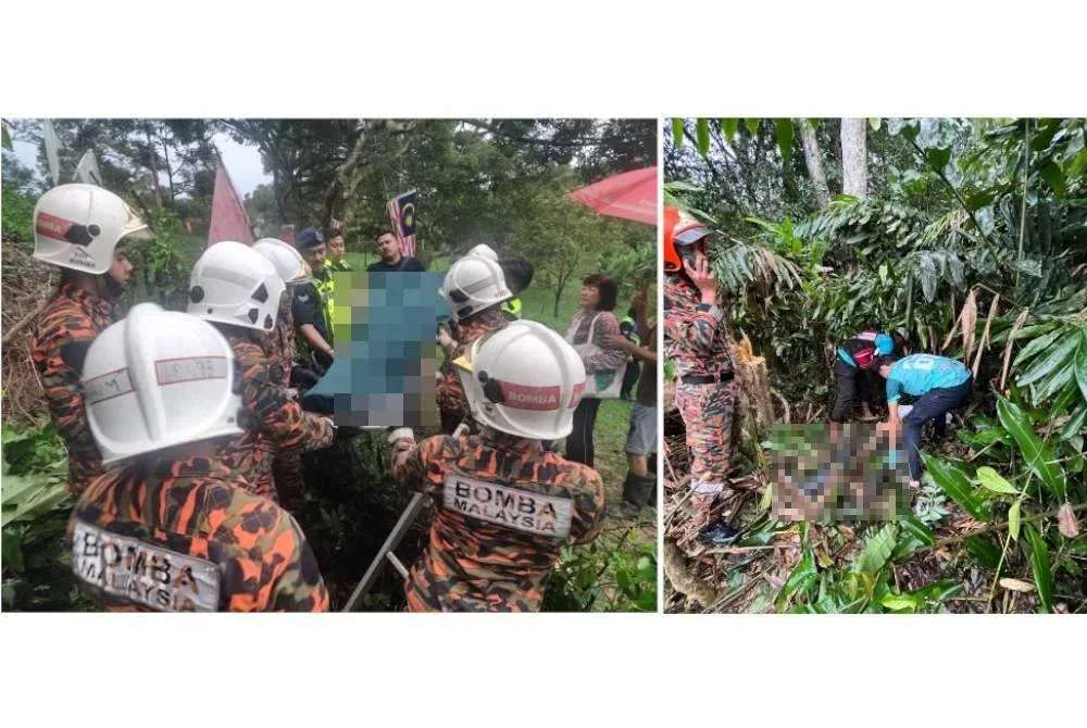 Mangsa maut dipercayai terkena libasan pokok getah yang ditebang dalam kejadian di Kampung Klian Intan di Pengkalan Hulu pada petang Rabu. 