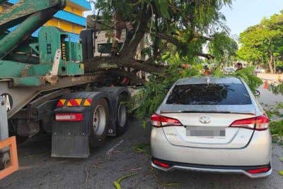 Sebatang pokok tumbang menghempap sebuah treler dan kereta di Jalan Pipato pada pagi Rabu.