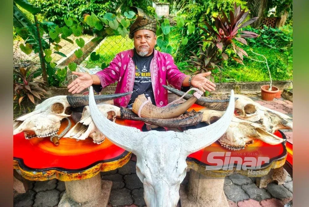Pak Wea bersama sebahagian koleksi hiasan tengkorak dan tetuang.
