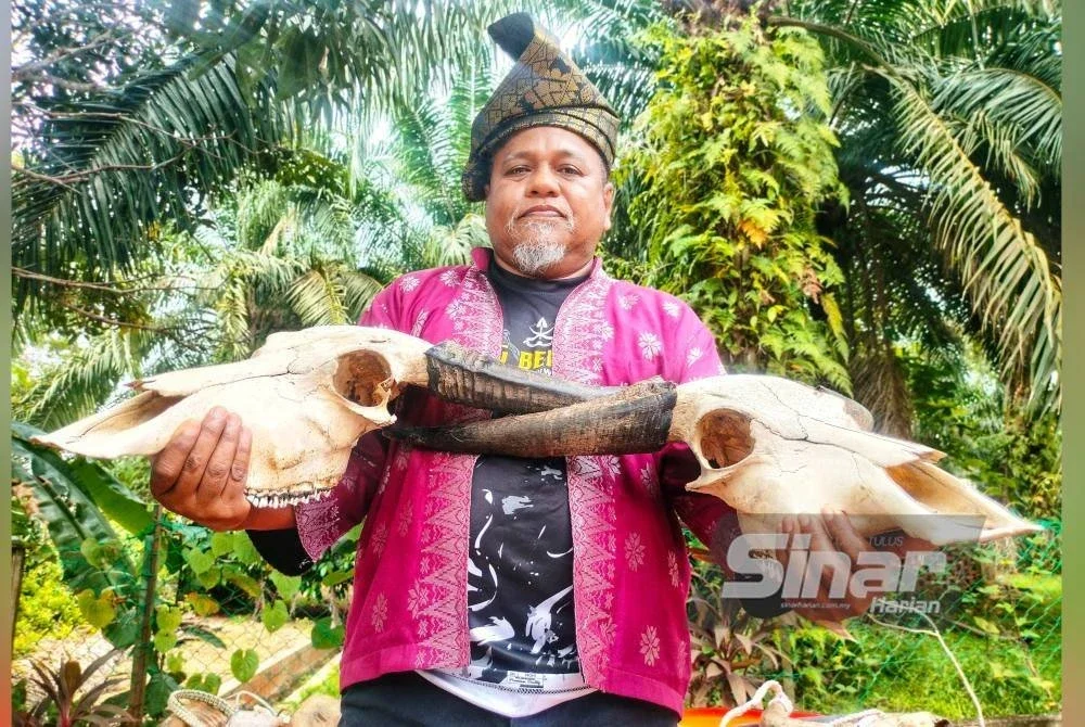Pak Wea mula menghasilkan hiasan menggunakan tengkorak kerbau jantan sejak lima tahun lalu.
