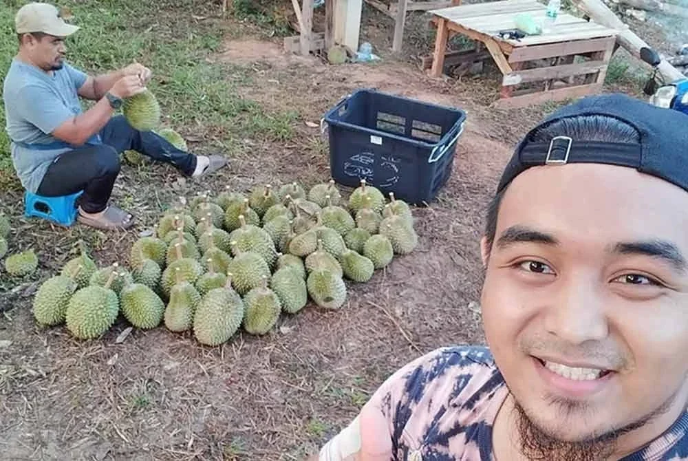 Muhammad Nasrullah Tarmizi alami kerugian selepas 700 biji durian pelbagai jenis di kebunnya gugur sebelum waktunya akibat dibadai ribut