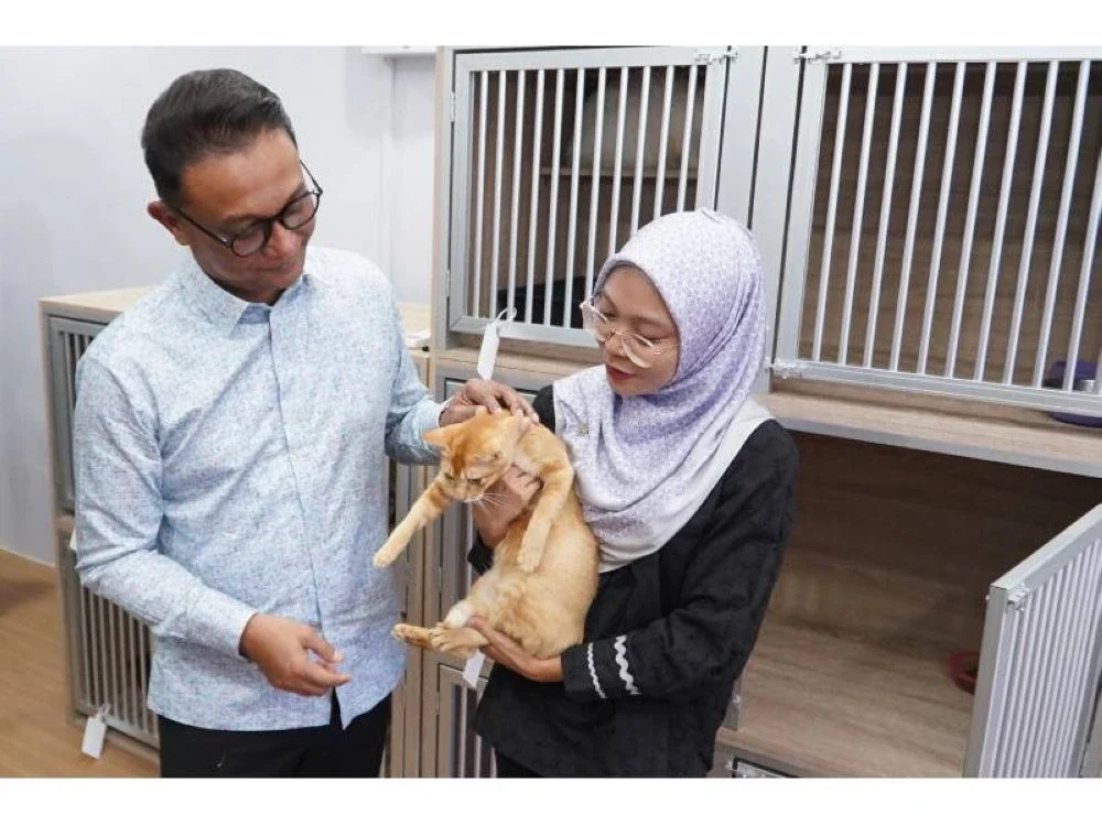 Zukfikri bersama Nur Hafizatul Aiezzah melihat seekor kucing yang terdapat di DrVET, Pengerang.