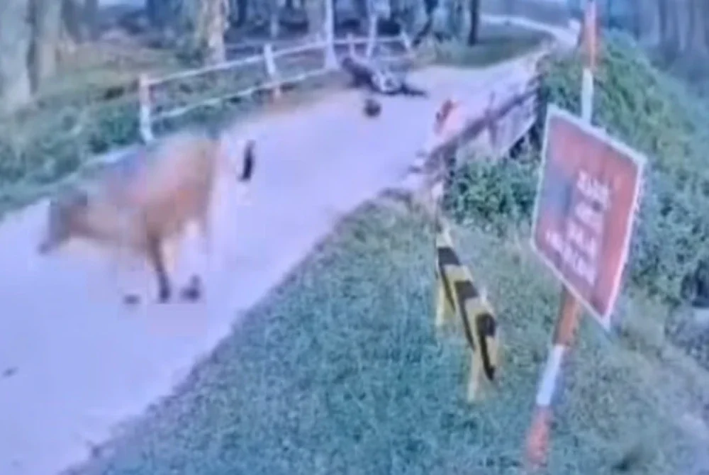 Mangsa berusia 53 tahun itu ditemui dalam keadaan tidak sedarkan diri di dalam sungai berhampiran ladang sawit berkenaan.