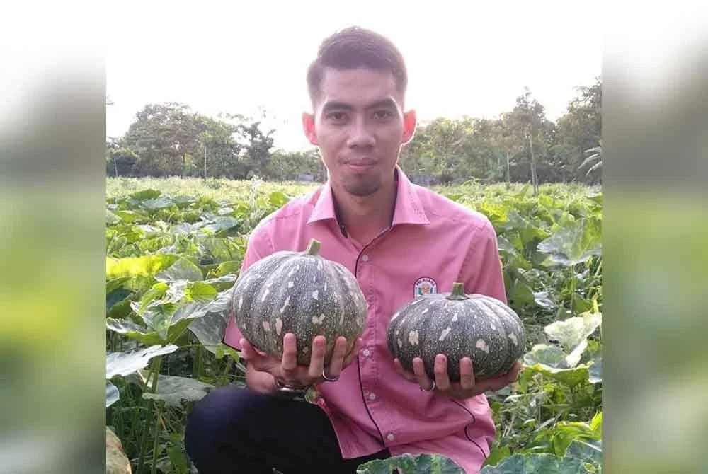 Abdul Hafis positif bidang pertanian menjanjikan pulangan lumayan sekiranya dilakukan dengan sistematik, fokus dan mempunyai ilmu terhadap setiap tanaman diusahakan.