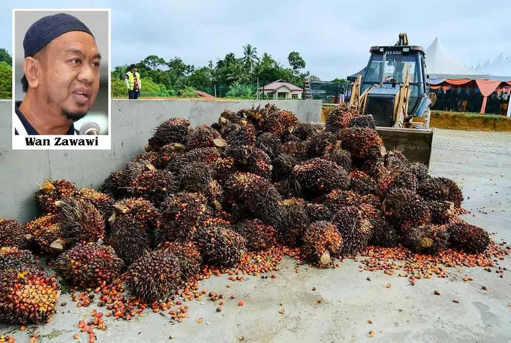 Program PMS yang diperkenalkan FELDA dilihat sebagai satu pendekatan penyelesaian berimpak tinggi bagi mengatasi kemelut yang sekian lama membelenggu peneroka.
