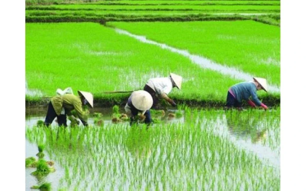 NAFAS memiliki kapasiti dan kekuatan tersendiri untuk terus menjadi peneraju dalam industri baja negara.